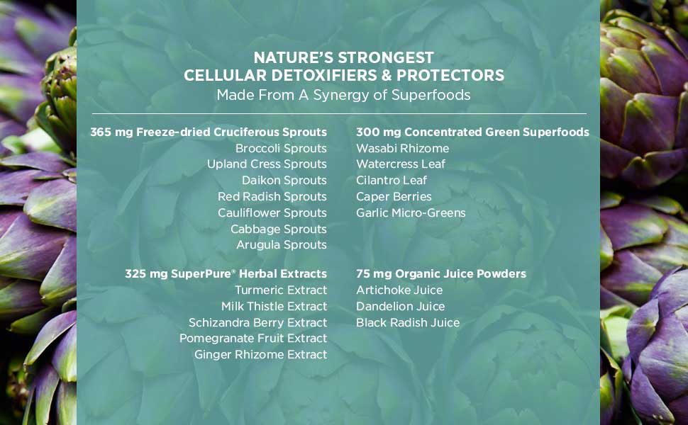 Cell Protector Ingredient Story